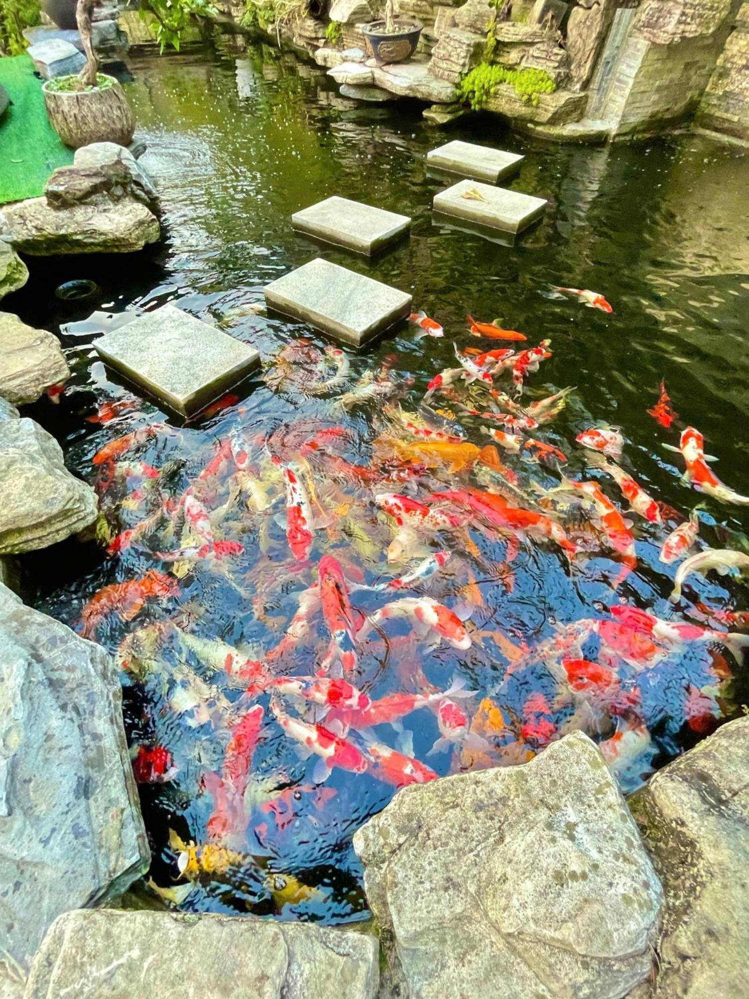 Chuon Chuon Villa Homestay Tam Dao Екстер'єр фото